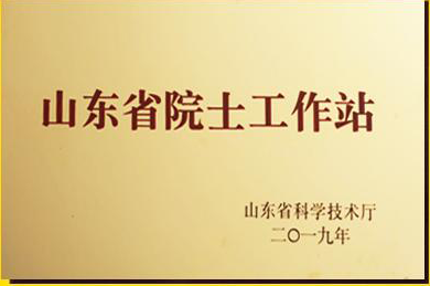 2019年5月,鲁商乡村发展集团院士工作站正式获批