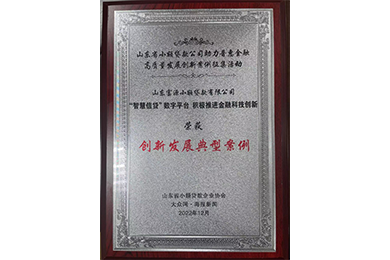 2022年,富源小贷获评山东省小额贷款公司助理普惠金融高质量发展创新案例征集活动“创新发展典型案例”