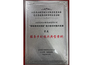 2022年,富源小贷获评山东省小额贷款公司助理普惠金融高质量发展创新案例征集活动“服务乡村振兴典型案例”